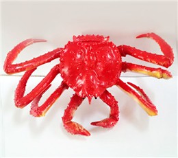 油炉玩具螃蟹JN168015